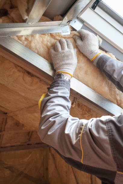 Best Residential Insulation in Summerside, OH